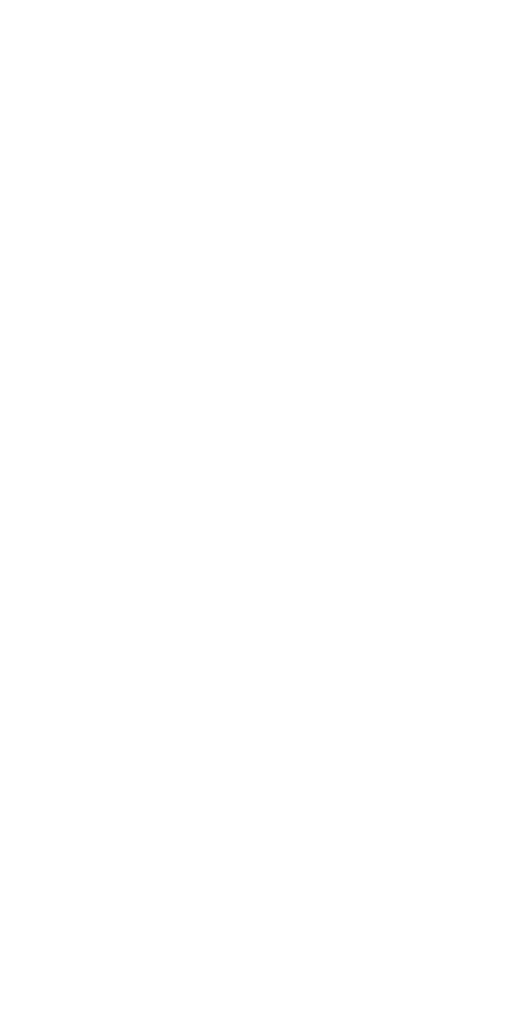 Logo Olympic Solidarity